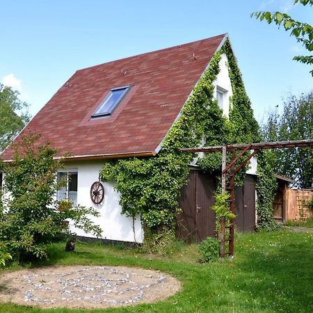 Sommerferienhaus Ostseebad Nienhagen Buitenkant foto